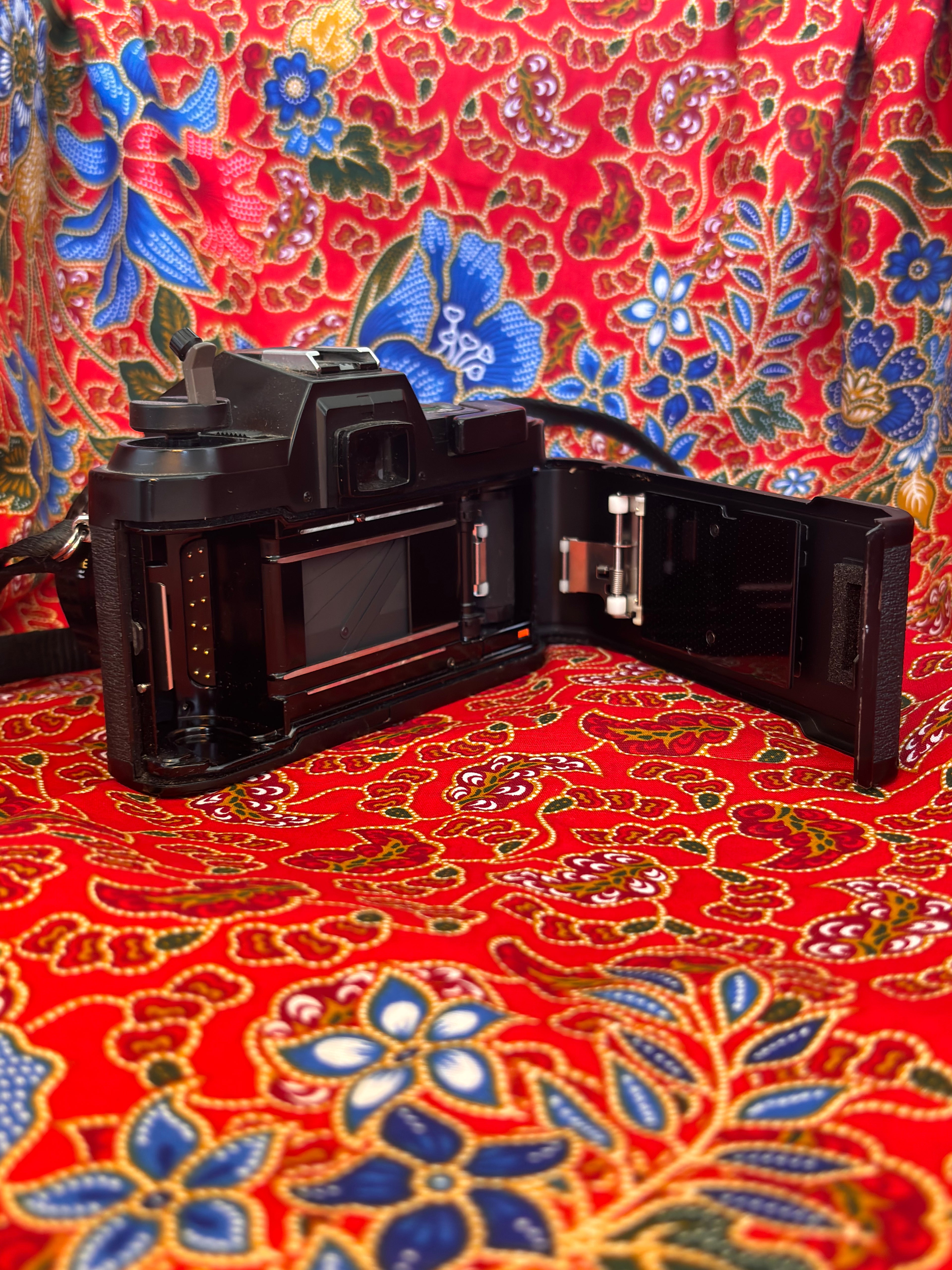 Pentax P30 (Black) + 50mm f2